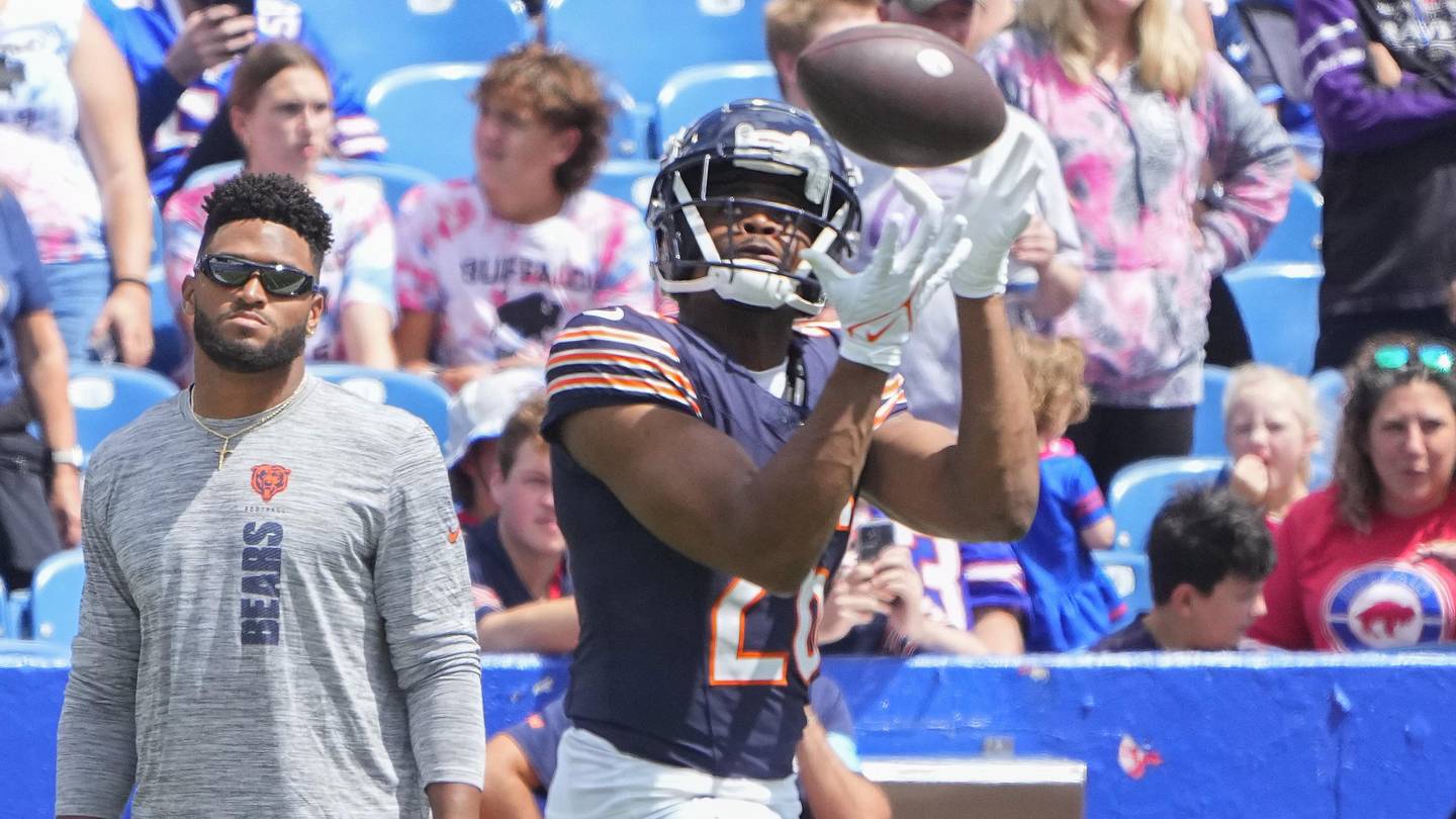Steelers Sign Safety Quindell Johnson, Bolstering Roster Depth