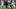 Jan 4, 2026; Houston, Texas, USA;  Houston Texans defensive tackle Tommy Togiai (72) carries the ball for a touchdown after r