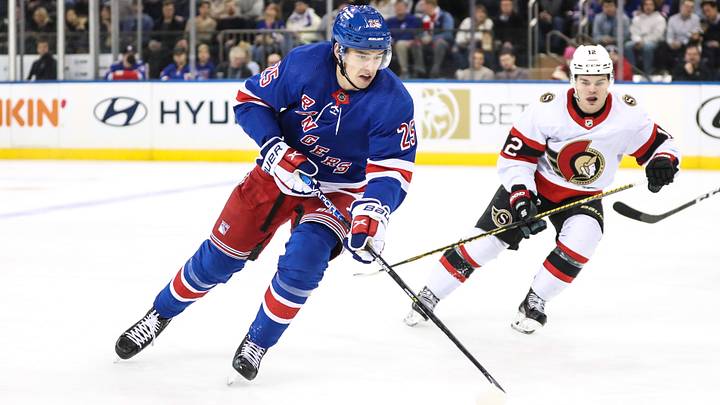 Dec 2, 2022; New York, New York, USA;  New York Rangers defenseman Libor Hajek (25) at Madison Square Garden. Mandatory Credit: Wendell Cruz-USA TODAY Sports