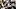 Chicago Bears, Theo Johnson Chicago Bears, Theo Johnson