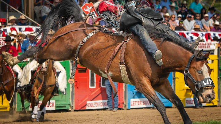 Bareback riding action