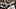 Dillon Thieneman Dillon Thieneman