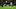 Pittsburgh Pirates center fielder Jake Mangum Pittsburgh Pirates center fielder Jake Mangum