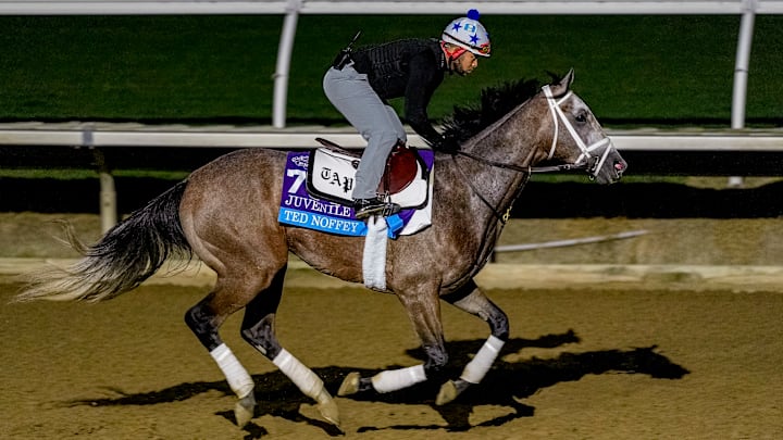 Ted Noffey, trained by Todd A. Pletcher, exercises in preparation for the FanDuel Breeders' Cup Juvenile at Del Mar Thoroughbred Club in Del Mar, California on October 27, 2025. Ted Noffey, trained by Todd A. Pletcher, exercises in preparation for the FanDuel Breeders' Cup Juvenile at Del Mar Thoroughbred Club in Del Mar, California on October 27, 2025.