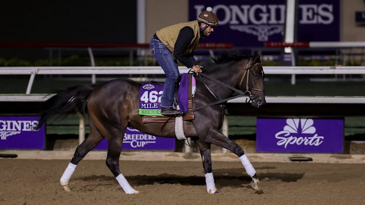 Rhetorical, trained by William Walden, exercises in preparation for the FanDuel Breeders' Cup Mile at Del Mar Thoroughbred Club in Del Mar, California on October 28, 2025. Rhetorical, trained by William Walden, exercises in preparation for the FanDuel Breeders' Cup Mile at Del Mar Thoroughbred Club in Del Mar, California on October 28, 2025.
