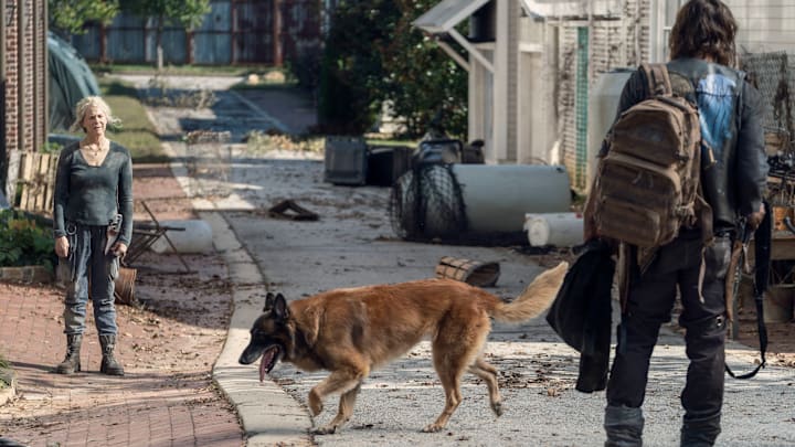 The Walking Dead