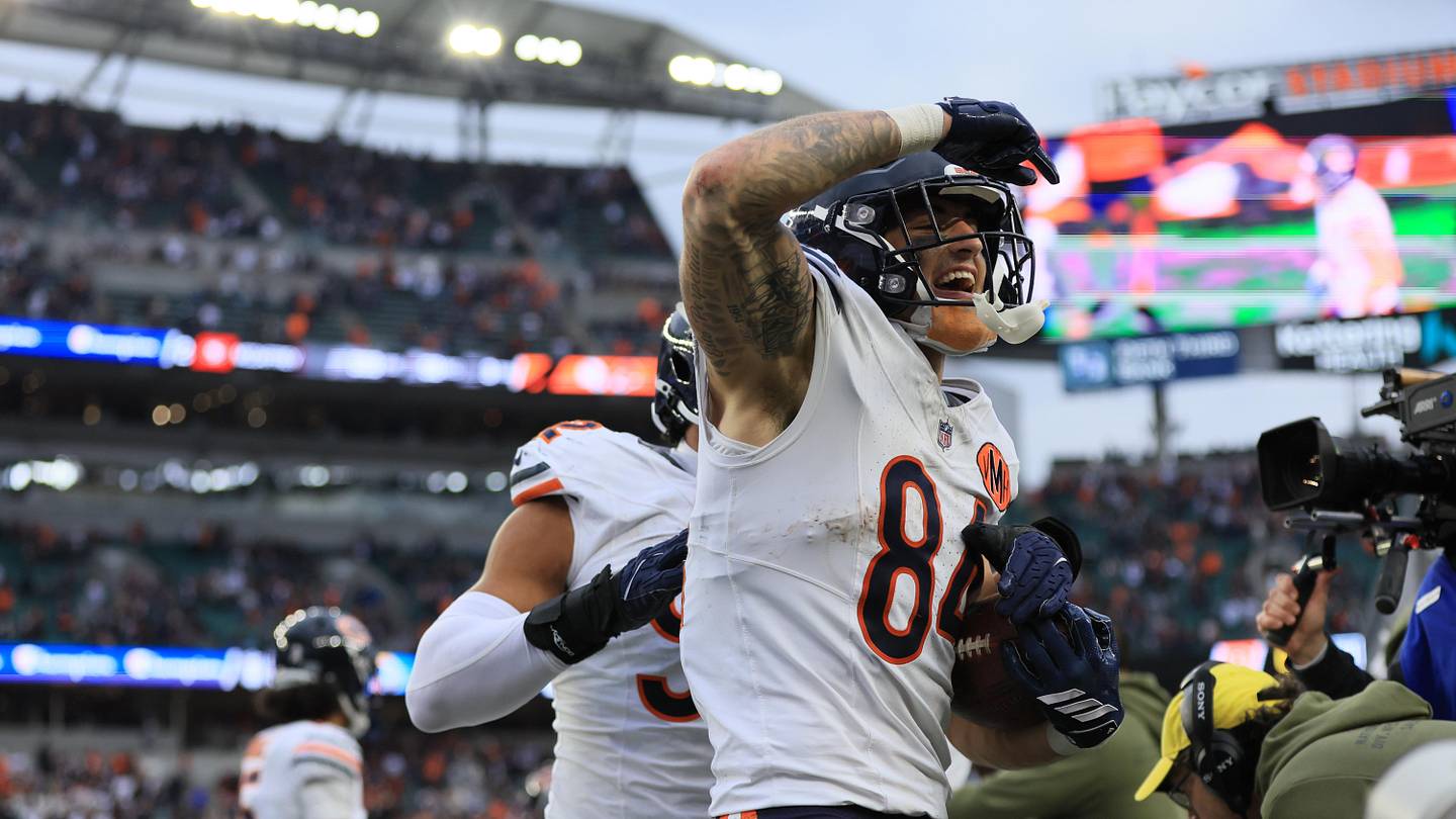Ranking the NFC North Tight Ends: Colston Loveland Stands Atop a Loaded Division