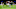 Ollie Watkins, Nicolas Kuhn, Auston Trusty Ollie Watkins, Nicolas Kuhn, Auston Trusty
