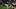 Baltimore Ravens running back Adam Randall (23) rushes during the first half against the Washington Commanders defense.