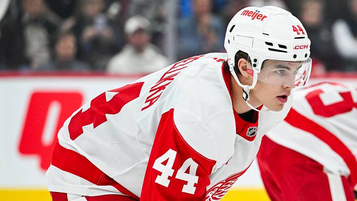 Detroit Red Wings defenseman Axel Sandin-Pellikka Credit: David Kirouac-Imagn Images Detroit Red Wings defenseman Axel Sandin-Pellikka Credit: David Kirouac-Imagn Images