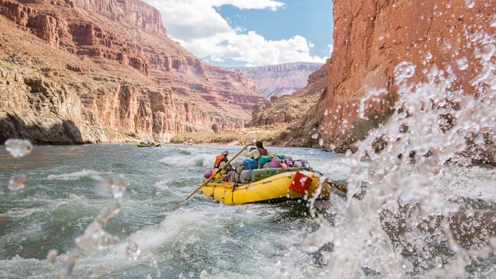 There better not be a dog or cat in that raft.