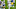 Johnathan Hankins, Justin Jackson Johnathan Hankins, Justin Jackson