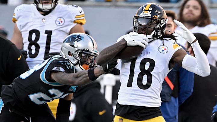 Pittsburgh Steelers v Carolina Panthers
