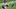 Baltimore Orioles left fielder Taylor Ward Baltimore Orioles left fielder Taylor Ward