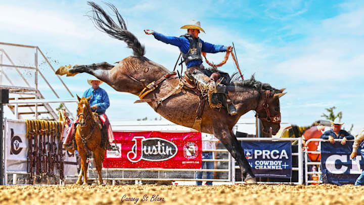 Mitchie Story Mitchie Story