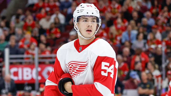 Oct 3, 2023; Chicago, Illinois, USA; Detroit Red Wings defenseman William Wallinder (54) looks on during the first period of a preseason hockey game against the Chicago Blackhawks at United Center. Mandatory Credit: Kamil Krzaczynski-Imagn Images