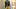 Pittsburgh Steelers linebacker Patrick Queen Pittsburgh Steelers linebacker Patrick Queen