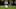 New England Patriots running back TreVeyon Henderson (32) New England Patriots running back TreVeyon Henderson (32)