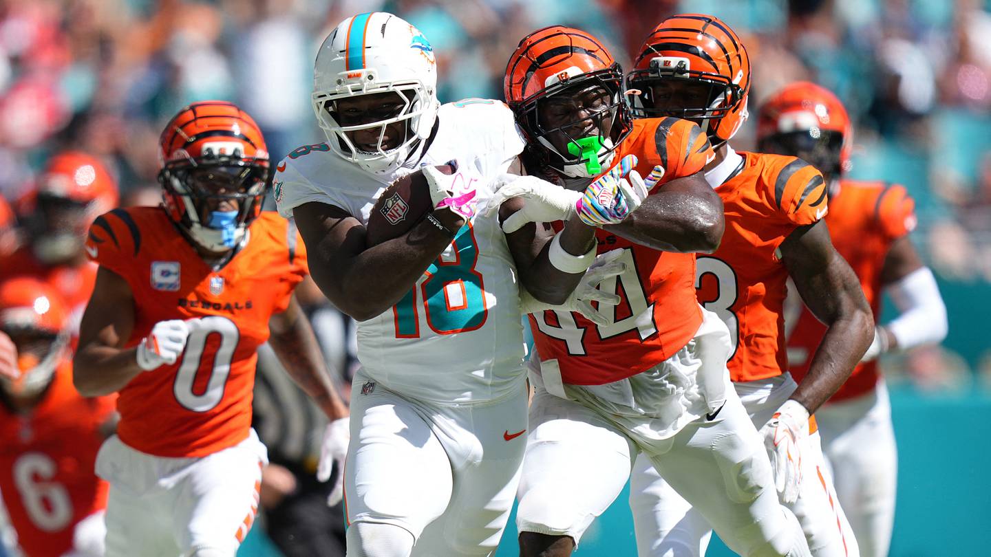 Dolphins Saturday Mailbag: Why Fans Should Want to See Victories
