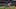 T.J. Hockenson, Minnesota Vikings, 2026 Fantasy Football T.J. Hockenson, Minnesota Vikings, 2026 Fantasy Football