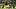 Pittsburgh Steelers wide receiver DK Metcalf, Fantasy Football