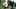 D'Andre Swift D'Andre Swift