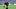 New England Patriots running back TreVeyon Henderson New England Patriots running back TreVeyon Henderson