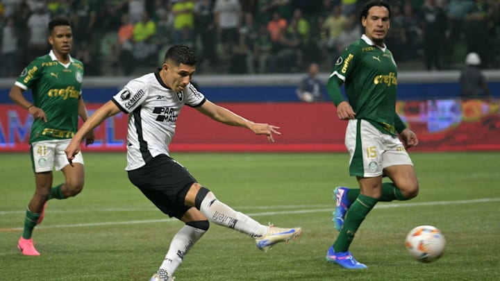 Palmeiras e Botafogo se enfrentam nesta semana no Allianz Parque