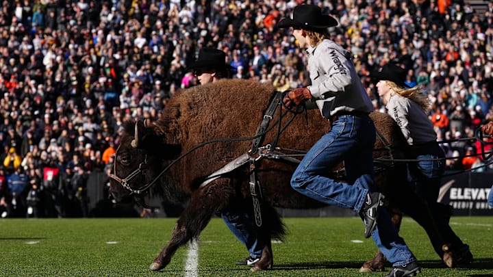 Nov 29, 2024; Boulder, Colorado, USA; Colorado Buffaloes mascot Ralphie is run onto the field before the game against the Oklahoma State Cowboys at Folsom Field. Mandatory Credit: Ron Chenoy-Imagn Images Nov 29, 2024; Boulder, Colorado, USA; Colorado Buffaloes mascot Ralphie is run onto the field before the game against the Oklahoma State Cowboys at Folsom Field. Mandatory Credit: Ron Chenoy-Imagn Images