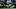 oregon ducks safety koi perich coach dan lanning ucla bruins quarterback dylan moore bob chesney big ten autzen stadium oregon ducks safety koi perich coach dan lanning ucla bruins quarterback dylan moore bob chesney big ten autzen stadium