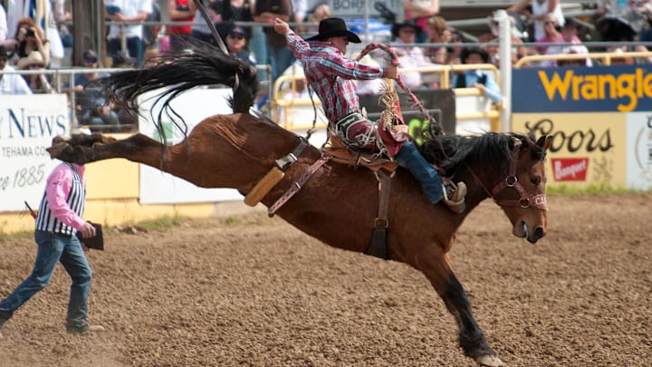 Saddle bronc rider Sterling Crawley Saddle bronc rider Sterling Crawley