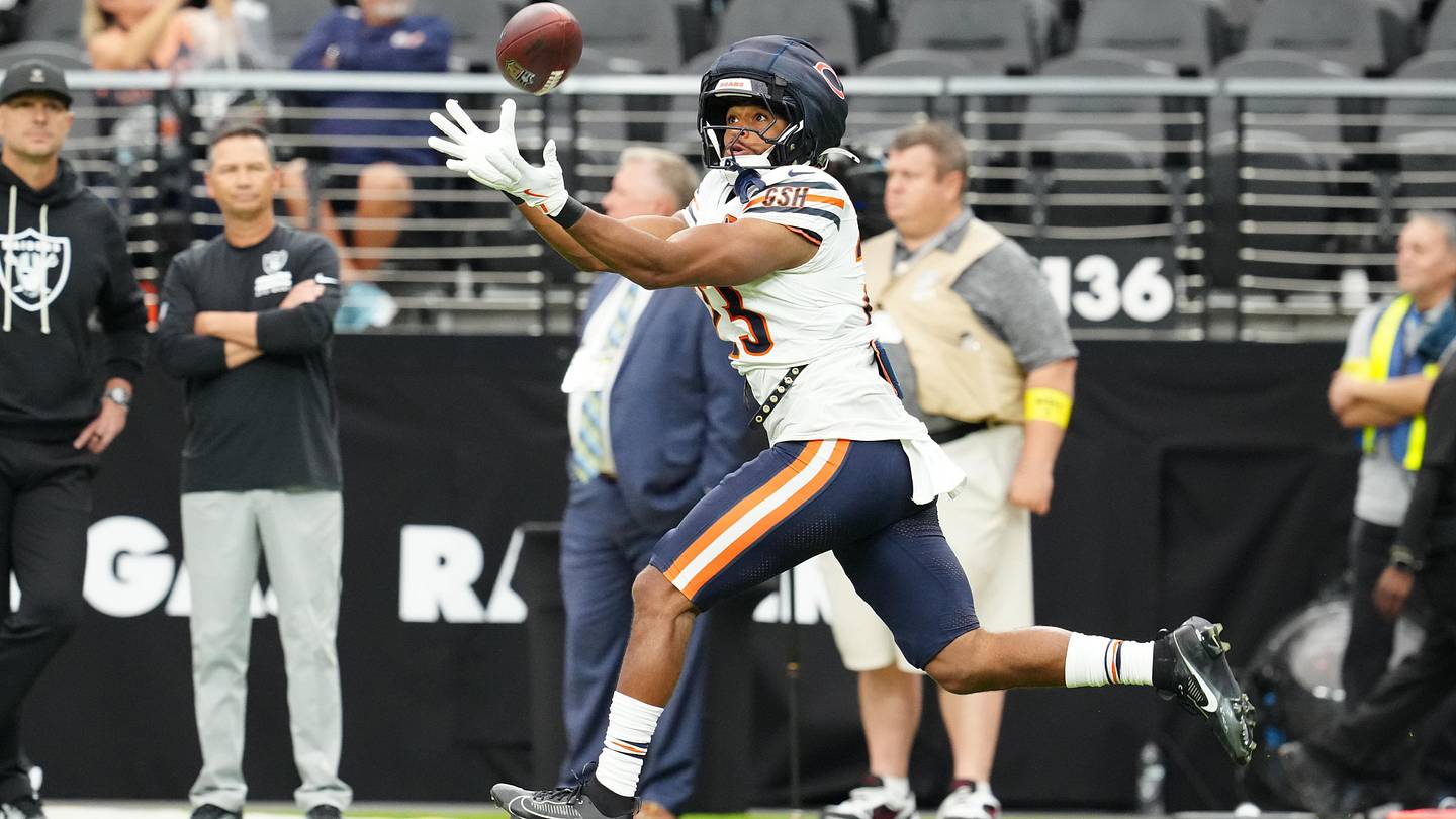Why Roschon Johnson Figures to Have Meaningful Role with Bears