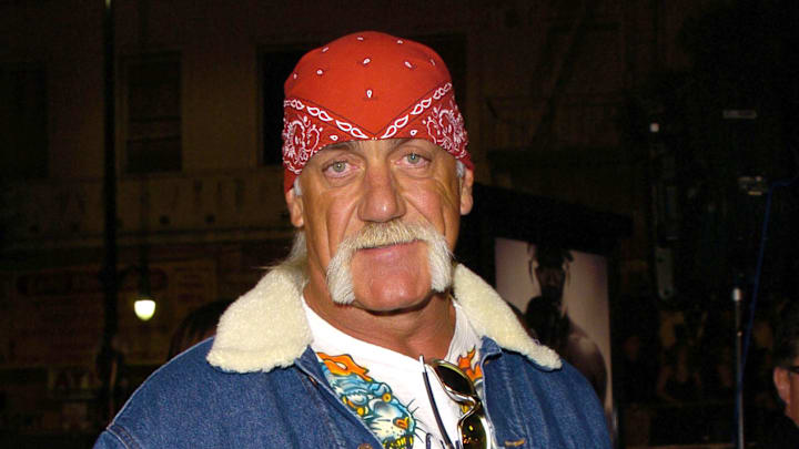 Hulk Hogan