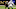 Rock Ya-Sin, Baltimore Ravens Rock Ya-Sin, Baltimore Ravens