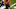 chicago Bears, matt eberflus chicago Bears, matt eberflus