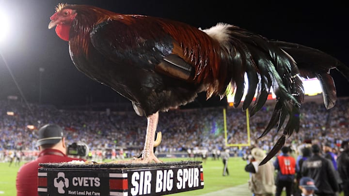 Nov 1, 2025; Oxford, Mississippi, USA; South Carolina Gamecocks mascot Sir Big Spur stands on the sideline during the third quarter against the Mississippi Rebels at Vaught-Hemingway Stadium. Mandatory Credit: Petre Thomas-Imagn Images Nov 1, 2025; Oxford, Mississippi, USA; South Carolina Gamecocks mascot Sir Big Spur stands on the sideline during the third quarter against the Mississippi Rebels at Vaught-Hemingway Stadium. Mandatory Credit: Petre Thomas-Imagn Images