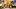 Southern Miss Football, Seymour, DuBard Southern Miss Football, Seymour, DuBard