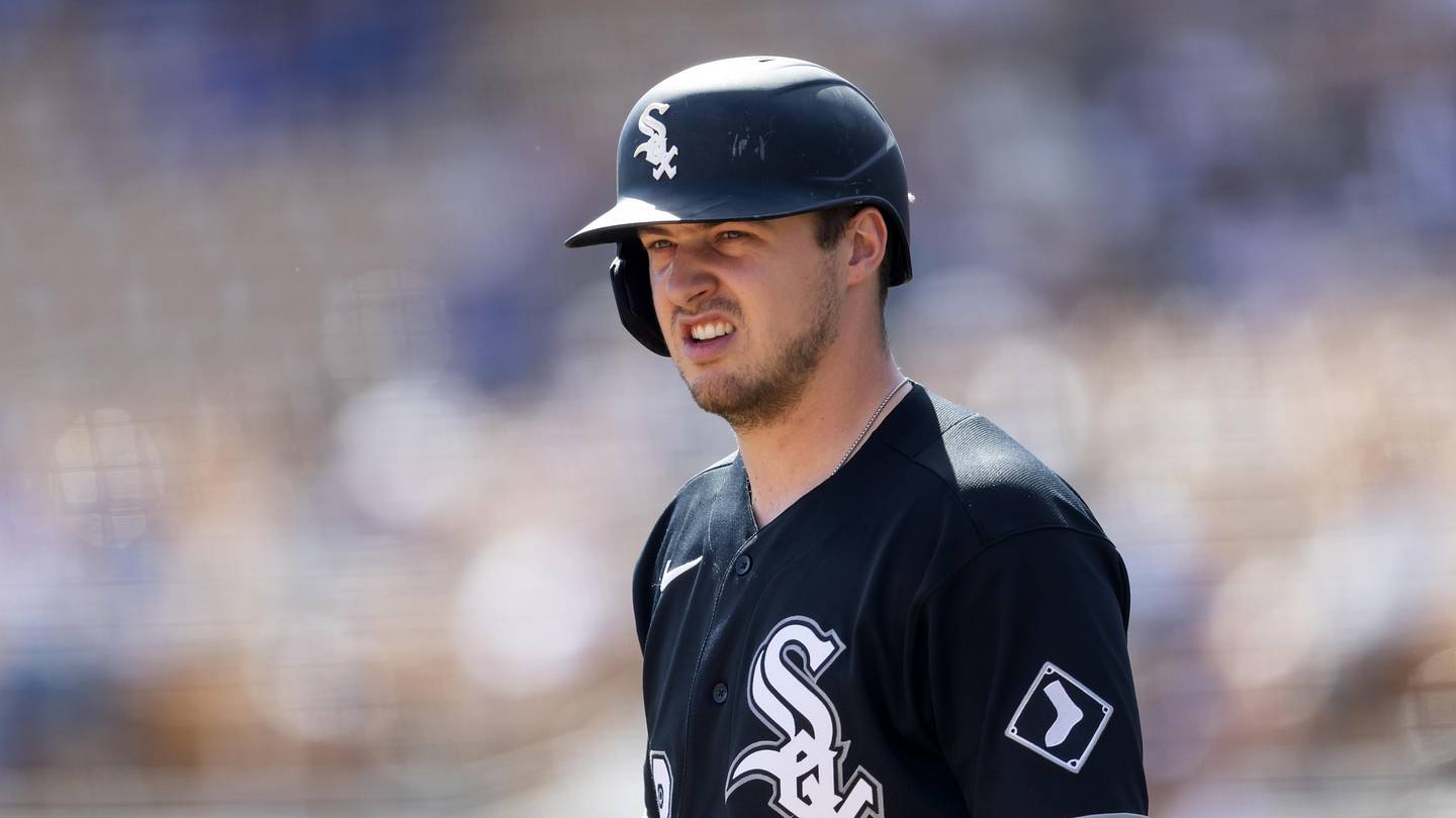 White Sox fans frustrated with Kyle Teel injury situation