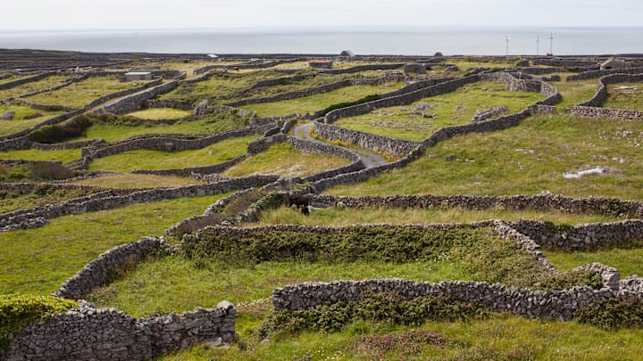 Ireland is looking to increase its head count on some remote islands.