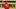 St. Louis Cardinals third baseman Nolan Gorman St. Louis Cardinals third baseman Nolan Gorman