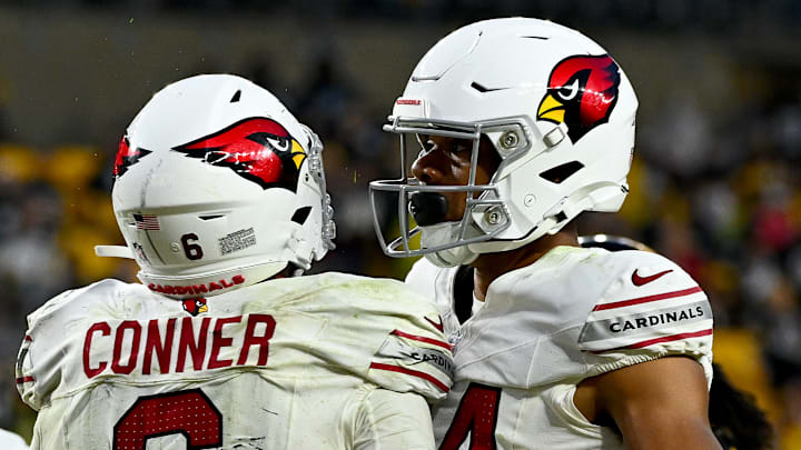 Arizona Cardinals v Pittsburgh Steelers