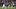 Baltimore Ravens place kicker Tyler Loop (33) reacts after making a field goal against the Washington Commanders. Baltimore Ravens place kicker Tyler Loop (33) reacts after making a field goal against the Washington Commanders.