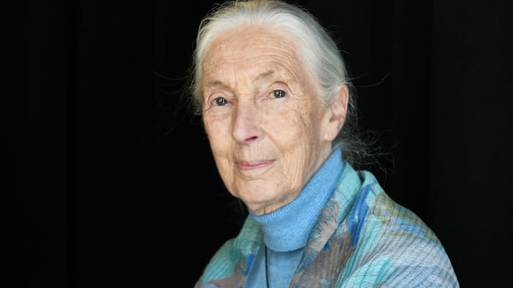 Jane Goodall passed away from natural causes on October 1, 2025.