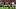 Oklahoma Sooners, David Stone Oklahoma Sooners, David Stone