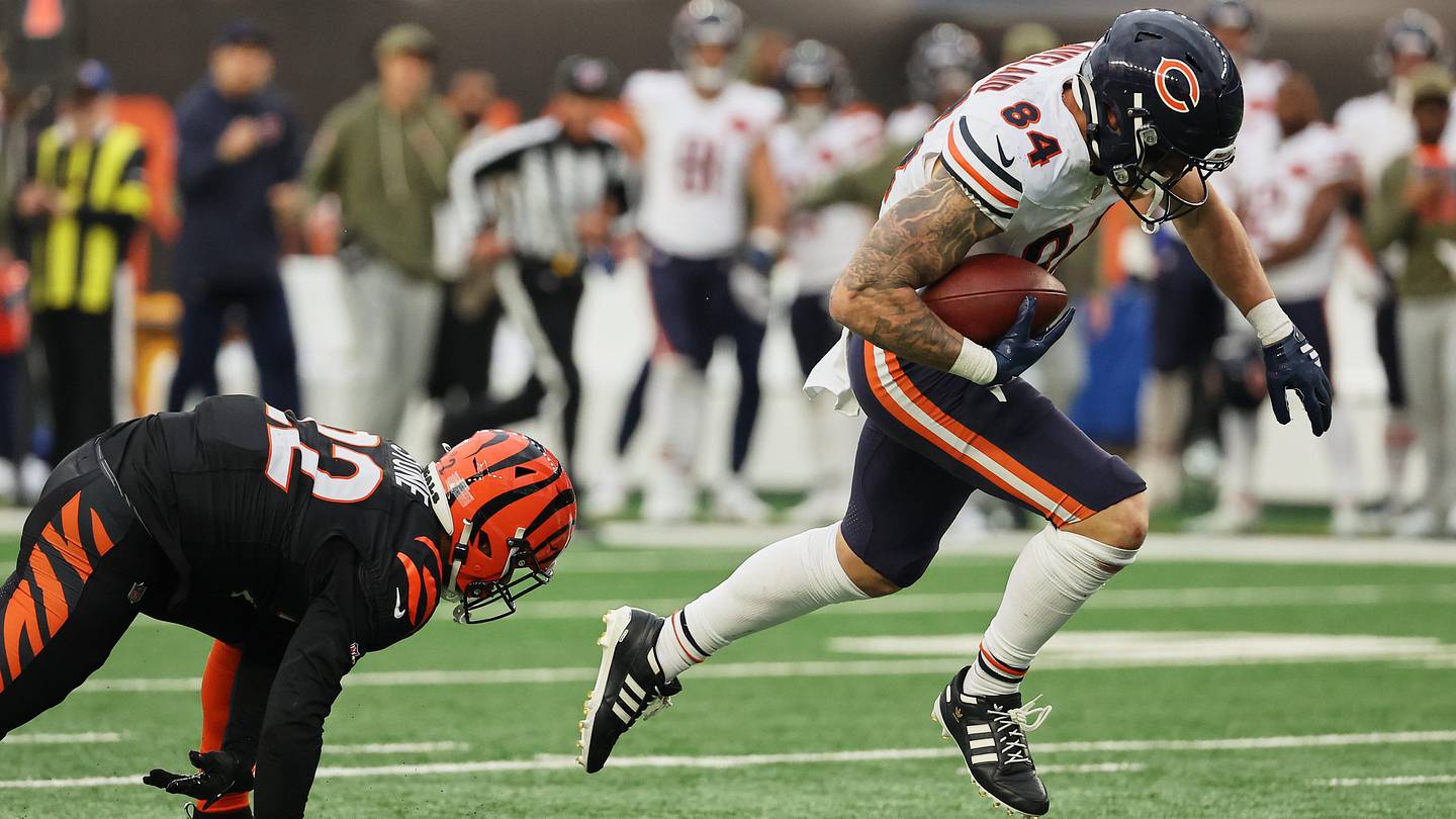 Could the Bengals Set Franchise Record for Biggest One-Year Leap in Total Defense Ranking?