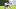New England Patriots wide receiver Cameron Dorner