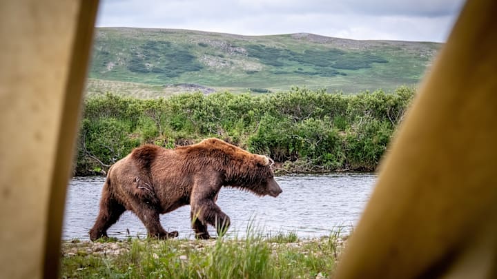 Good morning Alaska!