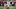 Eddy Pineiro, San Francisco 49ers, 2026 Fantasy Footbal Eddy Pineiro, San Francisco 49ers, 2026 Fantasy Footbal