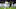 NOUHOU TOLO, Mohamed Salah - Winger - Born 1992 NOUHOU TOLO, Mohamed Salah - Winger - Born 1992