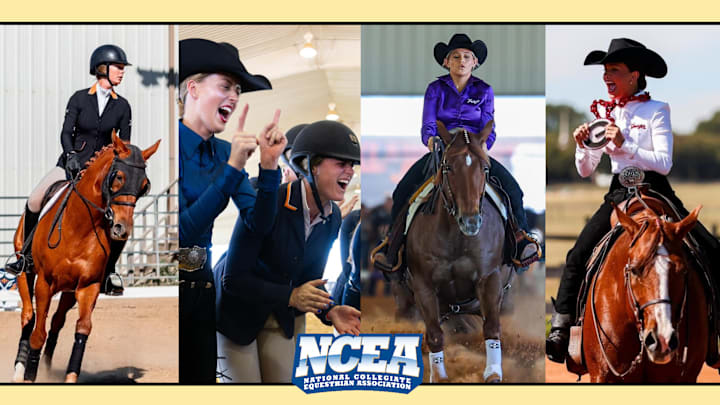 The first half of the NCEA season has wrapped up and it's been an exciting battle thus far. A full rundown of where things stand and key performers in below. The first half of the NCEA season has wrapped up and it's been an exciting battle thus far. A full rundown of where things stand and key performers in below.